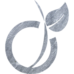viadeo icon
