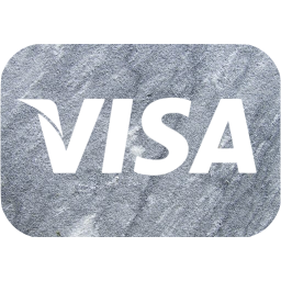 visa icon