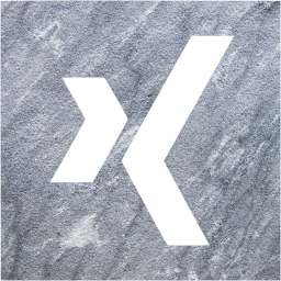 xing 2 icon