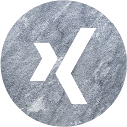 xing 4 icon