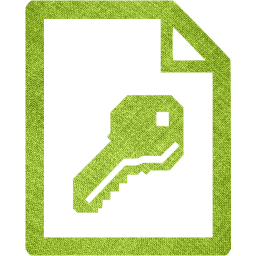 access 2 icon