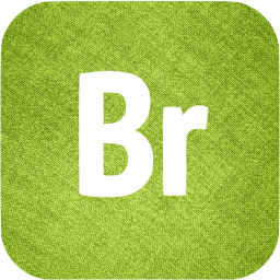 adobe br icon