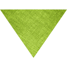 arrow 217 icon