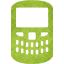 blackberry