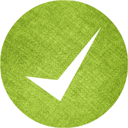 check mark 11 icon