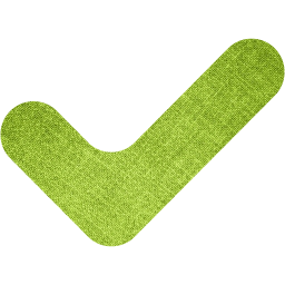 check mark 12 icon