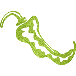 chili pepper 4 icon