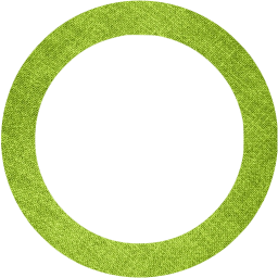 circle outline icon