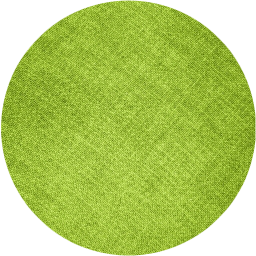 circle icon