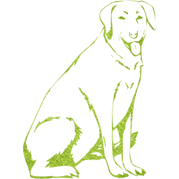 dog 13 icon