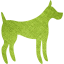 dog 31