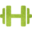 dumbbell