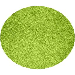 ellipse icon