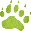 footprints bear