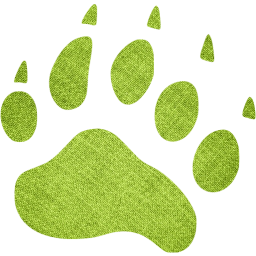 footprints bear icon