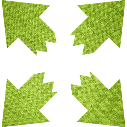 fullscreen 10 icon