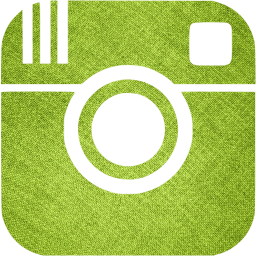 instagram icon