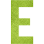 letter e