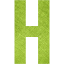 letter h