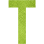 letter t