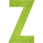 letter z