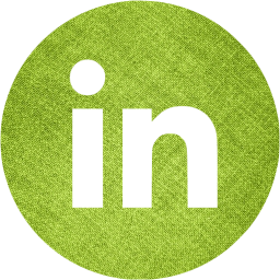 linkedin 4 icon