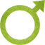 male