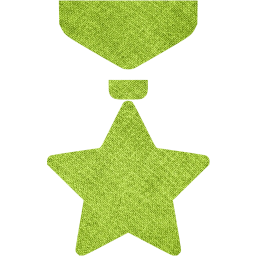 medal icon