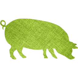 pig 4 icon