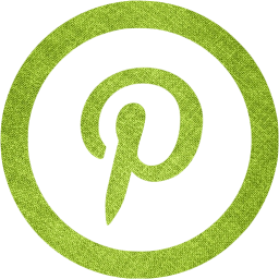 pinterest 5 icon