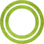 plasmid
