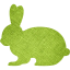 rabbit 2