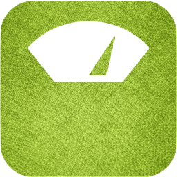 scale icon