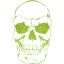 skull 41