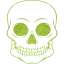 skull 55