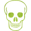 skull 71