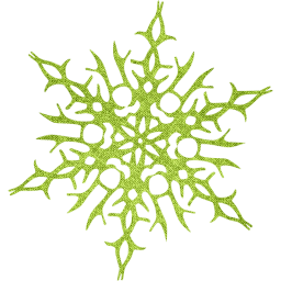 snowflake 14 icon