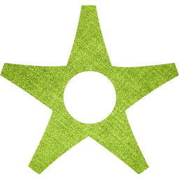 star 16 icon