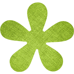 star 19 icon