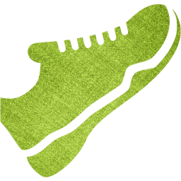 trainers icon