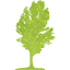 tree 17