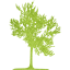 tree 23