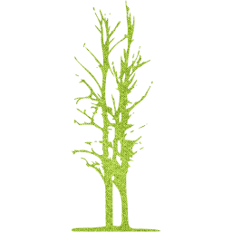 tree 52 icon