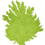 tree 66