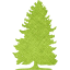 tree 70