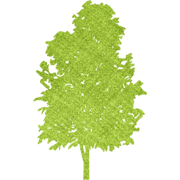 tree 74 icon