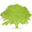 tree 9