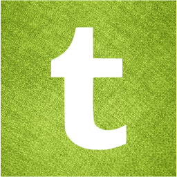 tumblr 2 icon