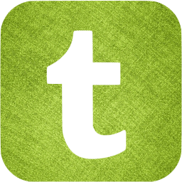 tumblr 6 icon