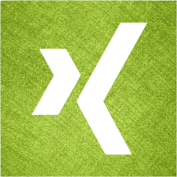 xing 2 icon